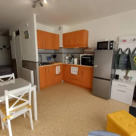 T1 Cosy A Avec Clim, Terrasse Et Animaux Admis - Fr-1-571-59 *