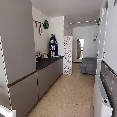 T1 Cosy A Avec Clim, Terrasse Et Animaux Admis - Fr-1-571-59
