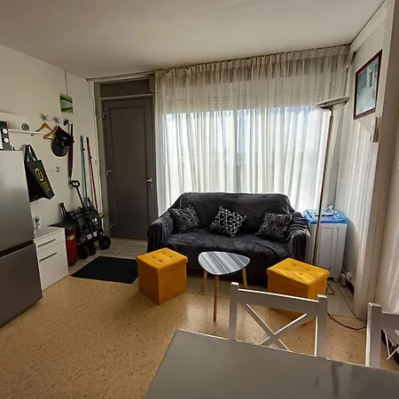 T1 Cosy A Avec Clim, Terrasse Et Animaux Admis - Fr-1-571-59 Апартаменты *