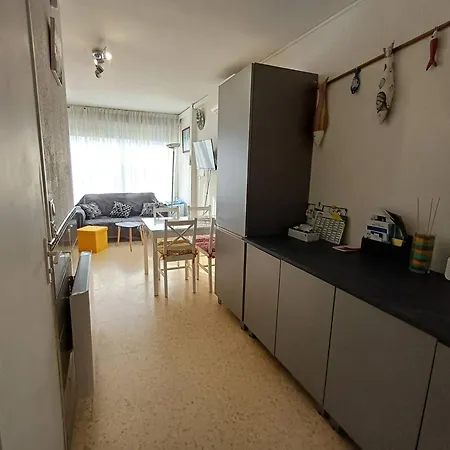 T1 Cosy A Avec Clim, Terrasse Et Animaux Admis - Fr-1-571-59 * Баларук-ле-Бен