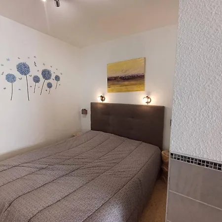 T1 Cosy A Avec Clim, Terrasse Et Animaux Admis - Fr-1-571-59 *