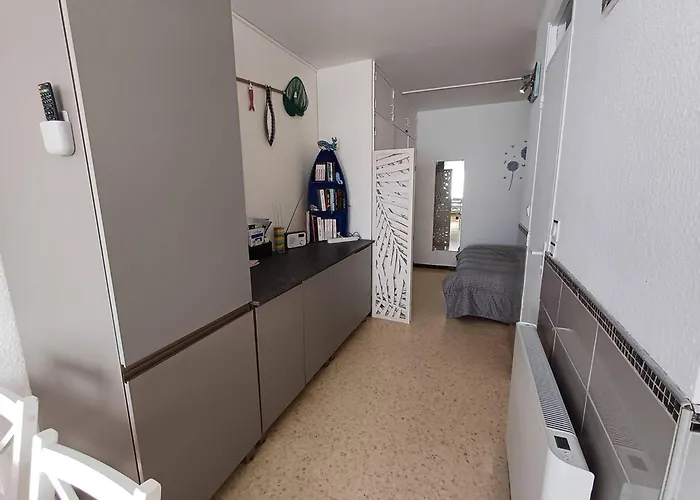 T1 Cosy A Avec Clim, Terrasse Et Animaux Admis - Fr-1-571-59