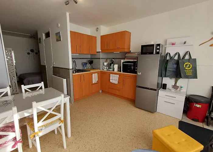 T1 Cosy A Avec Clim, Terrasse Et Animaux Admis - Fr-1-571-59 *
