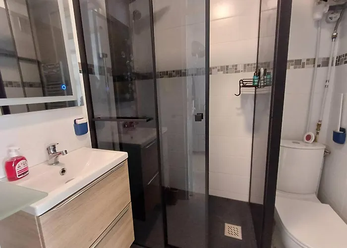 T1 Cosy A Avec Clim, Terrasse Et Animaux Admis - Fr-1-571-59 Balaruc-les-Bains