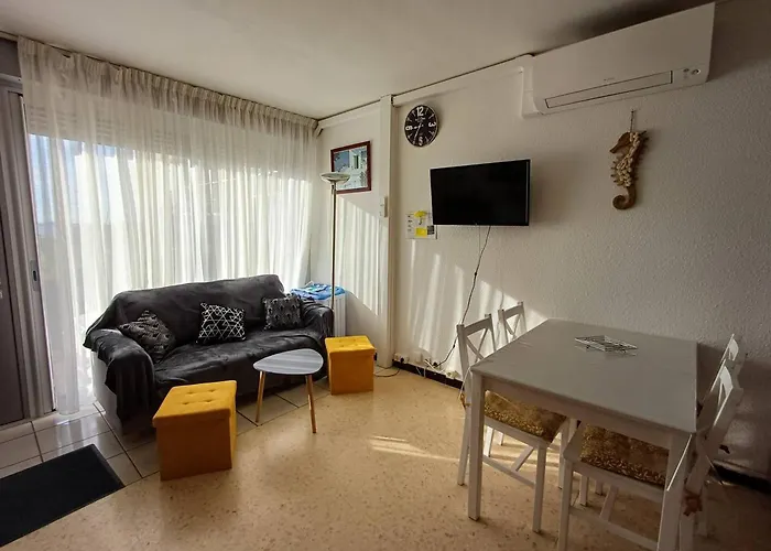 Apartman T1 Cosy A Avec Clim, Terrasse Et Animaux Admis - Fr-1-571-59 Balaruc-les-Bains