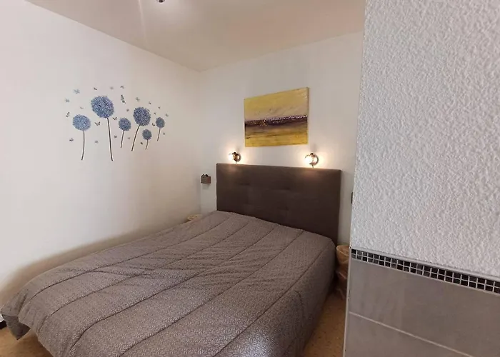 T1 Cosy A Avec Clim, Terrasse Et Animaux Admis - Fr-1-571-59 *