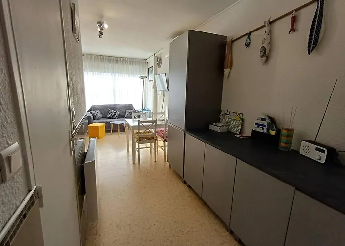 T1 Cosy A Avec Clim, Terrasse Et Animaux Admis - Fr-1-571-59 Apartman *